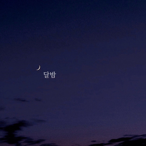 달밤