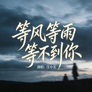 等风等雨等不到你
