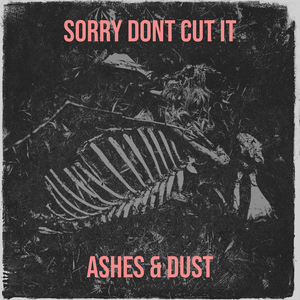 Sorry Dont Cut It