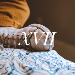 XVII