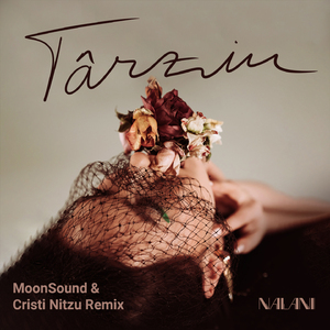 Târziu (MoonSound & Cristi Nitzu Remix)