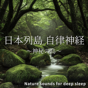 睡眠用BGM 海辺の夜風と眠りの音