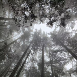 Difference（speed up）