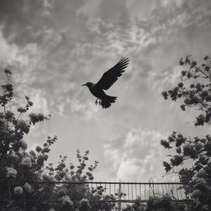 kırmızı güller diyarında sonbahar by @rissorius