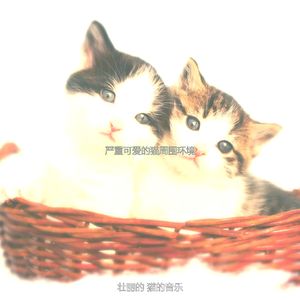 抚慰的可爱的猫回忆