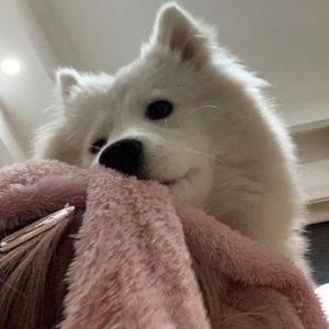 陌生的人 我们可以跳舞吗