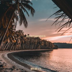 适合静止甜美的音乐