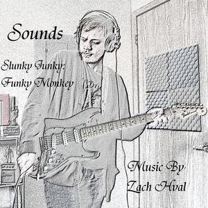 Slunky Junky: Funky, Monkey