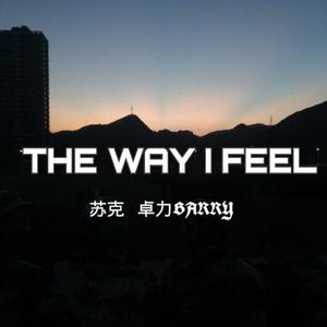 Joey B-THE WAY I FEEL（苏克 / ForeverGang / 卓力Barry remix）