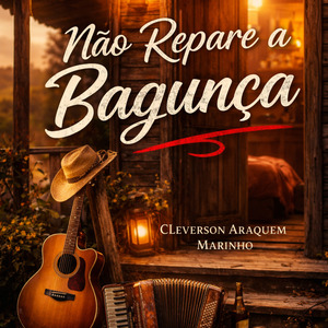 Não Repare a Bagunça