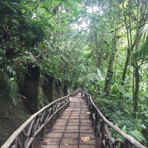 A Shadow In The Mist (feat. Jon Poor)