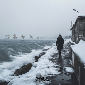 雪落海面