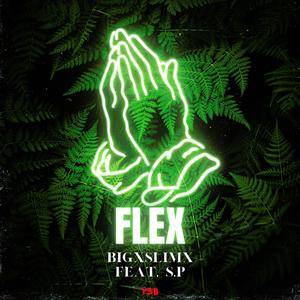 Flex (feat. S.P)