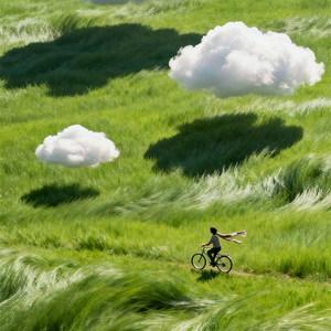 昨天晚上做一个梦，梦到自己飞了起来