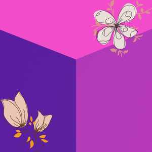 柔和的冬天的时刻时刻