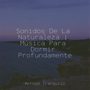 Crepúsculo En La Arboleda Encantada