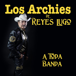 Recapacita