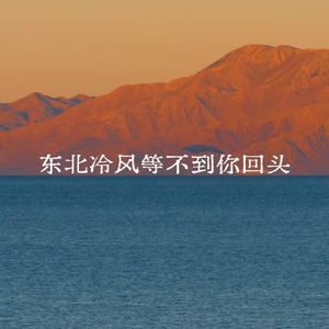 东北冷风等不到你回头儿