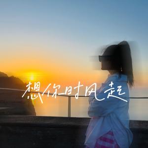 想你时风起