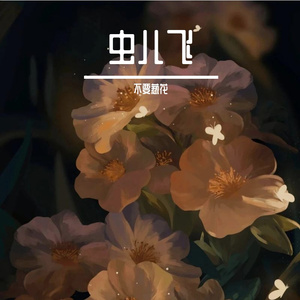 群星-虫儿飞（不要葱花 remix）
