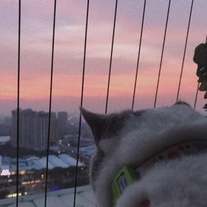 K2K-2 my mom.（陈始源 remix）