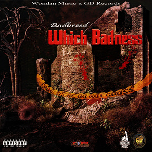 Which Badness