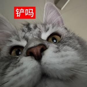 铲吗