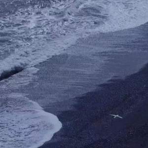 循晚风入梦境又清醒