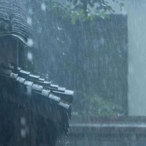 忽然下起雨(1.2x)