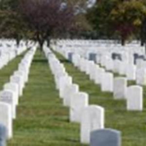 Fields of Honor