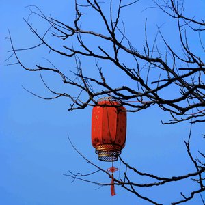 春节喜乐会