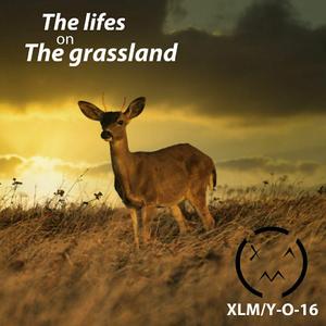 The lives on The grassland