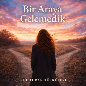 Bir Araya Gelemedik