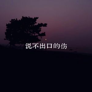 说不出口的伤