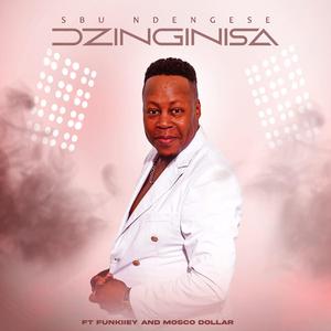 Dzinginisa (feat. Funkiiey_012 & Moscow Dollar)