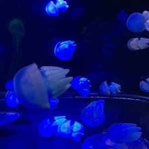 为什么（Prod.by Morrow）