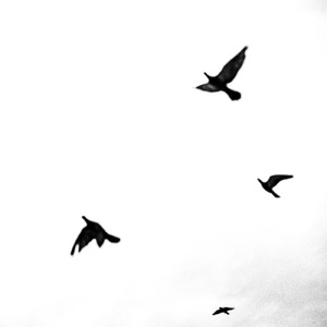 空を飛べない僕たちは