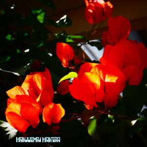 Manjushri Mantra (Instrumental)