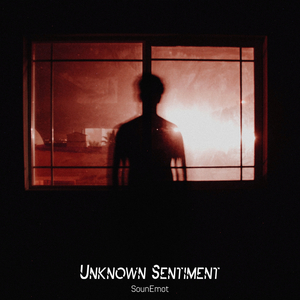 Unknown Sentiment (Original Mix)