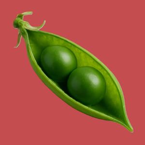 Kim missed Terry (an honest musical)