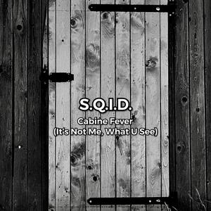 Cabine Fever (It's Not Me, What U See)