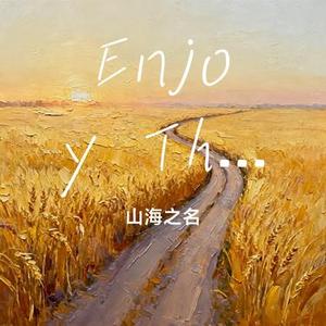 Enjoy The Ride (Cover Chris James)