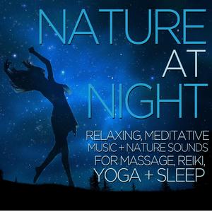 Healing Night Sounds