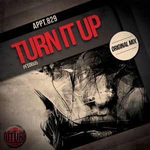 Turn It Up (Original Mix)