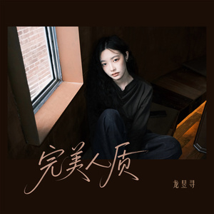 完美人质
