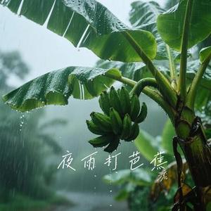 夜雨打芭蕉