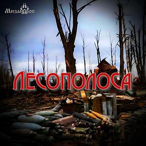 Лесополоса