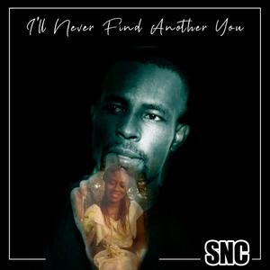 I'll Never Find Another You