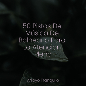 Melodías Perfumadas