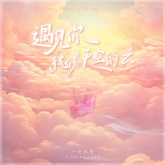 遇见你就像天空的云 (卡碟版)